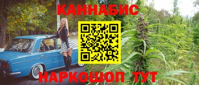 трава Камышлов