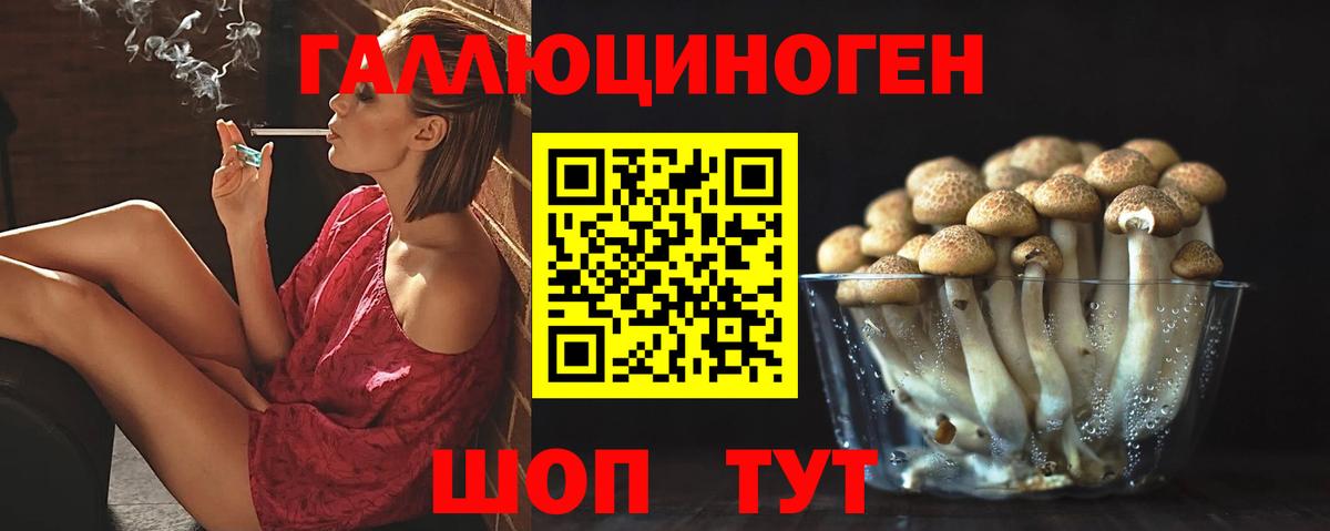 Галлюциногенные грибы GOLDEN TEACHER Красноуфимск